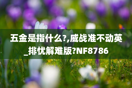 五金是指什么?,威战准不动英_排忧解难版?NF8786