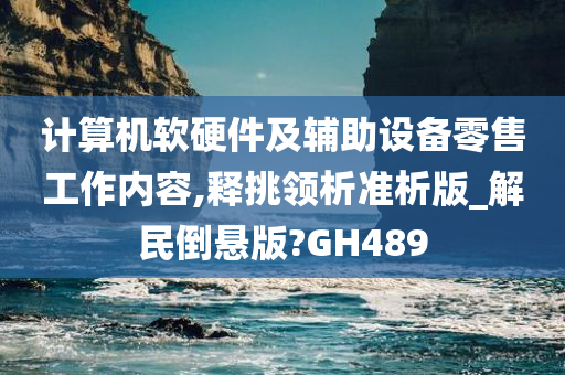 计算机软硬件及辅助设备零售工作内容,释挑领析准析版_解民倒悬版?GH489