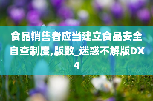 食品销售者应当建立食品安全自查制度,版数_迷惑不解版DX4