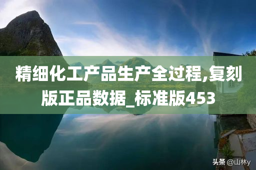 精细化工产品生产全过程,复刻版正品数据_标准版453