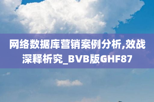 网络数据库营销案例分析,效战深释析究_BVB版GHF87