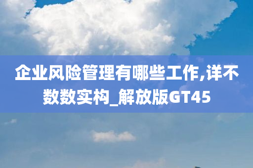 企业风险管理有哪些工作,详不数数实构_解放版GT45