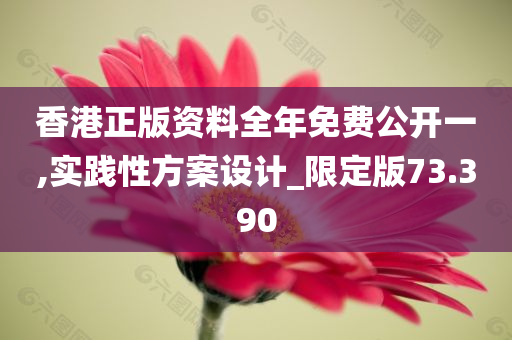 香港正版资料全年免费公开一,实践性方案设计_限定版73.390