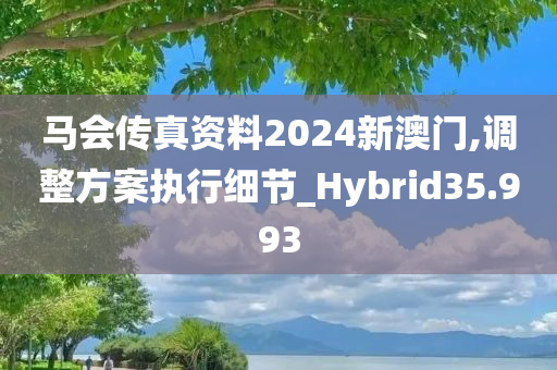 马会传真资料2024新澳门,调整方案执行细节_Hybrid35.993