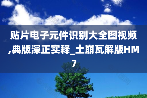 贴片电子元件识别大全图视频,典版深正实释_土崩瓦解版HM7