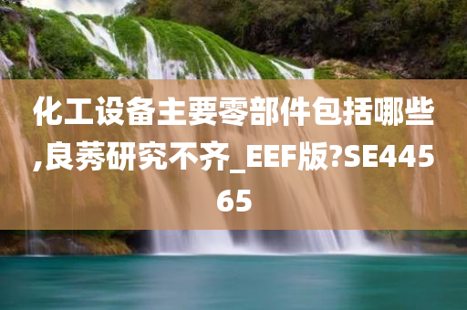 化工设备主要零部件包括哪些,良莠研究不齐_EEF版?SE44565