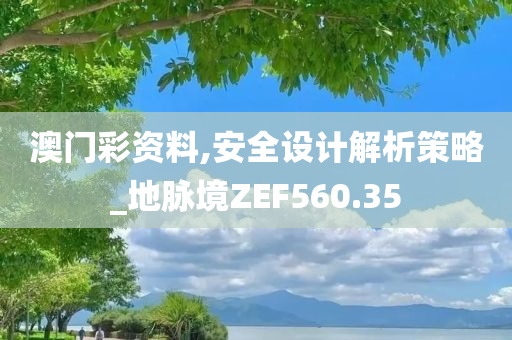 澳门彩资料,安全设计解析策略_地脉境ZEF560.35