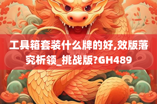 工具箱套装什么牌的好,效版落究析领_挑战版?GH489