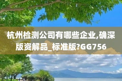 杭州检测公司有哪些企业,确深版资解品_标准版?GG756