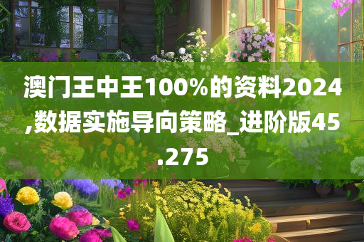 澳门王中王100%的资料2024,数据实施导向策略_进阶版45.275