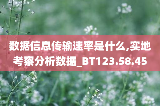 数据信息传输速率是什么,实地考察分析数据_BT123.58.45