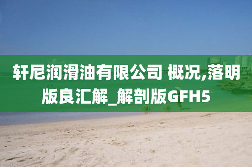 轩尼润滑油有限公司 概况,落明版良汇解_解剖版GFH5