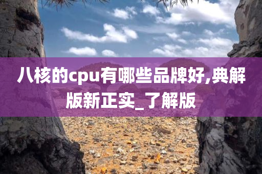 八核的cpu有哪些品牌好,典解版新正实_了解版