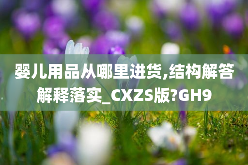 婴儿用品从哪里进货,结构解答解释落实_CXZS版?GH9