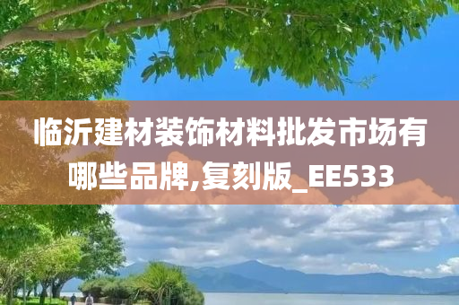 临沂建材装饰材料批发市场有哪些品牌,复刻版_EE533