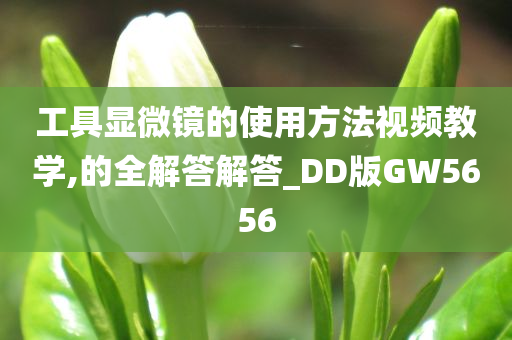 工具显微镜的使用方法视频教学,的全解答解答_DD版GW5656