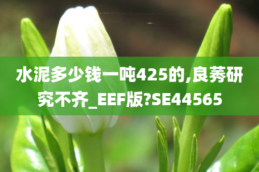 水泥多少钱一吨425的,良莠研究不齐_EEF版?SE44565