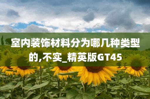 GT45 第7页