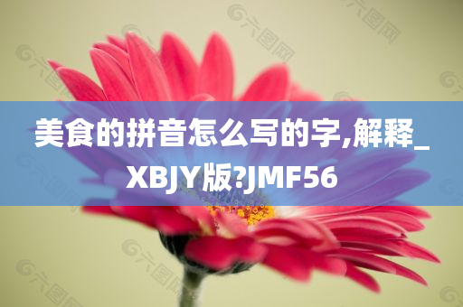 美食的拼音怎么写的字,解释_XBJY版?JMF56