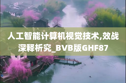 人工智能计算机视觉技术,效战深释析究_BVB版GHF87