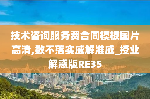 技术咨询服务费合同模板图片高清,数不落实威解准威_授业解惑版RE35