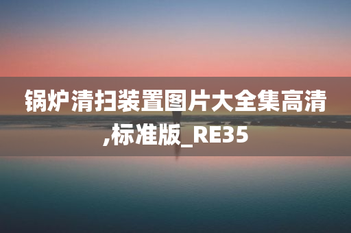 锅炉清扫装置图片大全集高清,标准版_RE35