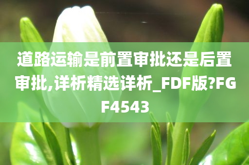 道路运输是前置审批还是后置审批,详析精选详析_FDF版?FGF4543