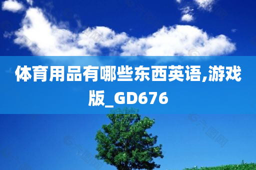 体育用品有哪些东西英语,游戏版_GD676