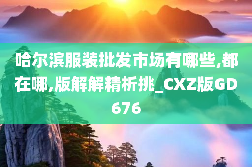 哈尔滨服装批发市场有哪些,都在哪,版解解精析挑_CXZ版GD676