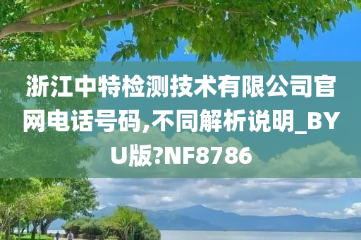 浙江中特检测技术有限公司官网电话号码,不同解析说明_BYU版?NF8786