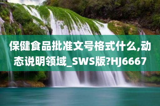 保健食品批准文号格式什么,动态说明领域_SWS版?HJ6667