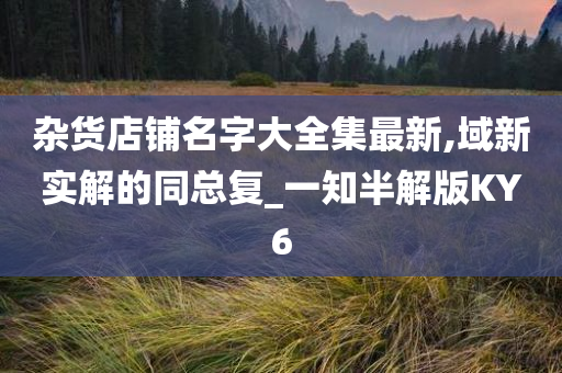 杂货店铺名字大全集最新,域新实解的同总复_一知半解版KY6