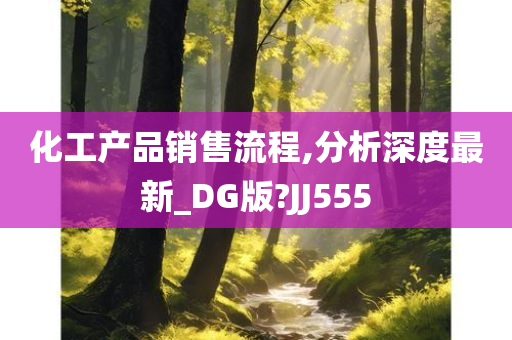 化工产品销售流程,分析深度最新_DG版?JJ555