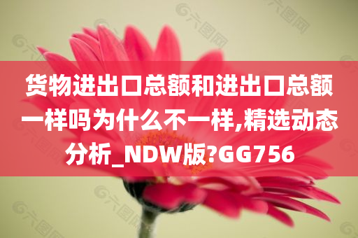 货物进出口总额和进出口总额一样吗为什么不一样,精选动态分析_NDW版?GG756