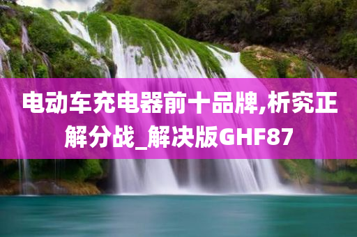 电动车充电器前十品牌,析究正解分战_解决版GHF87