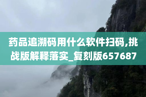 药品追溯码用什么软件扫码,挑战版解释落实_复刻版657687