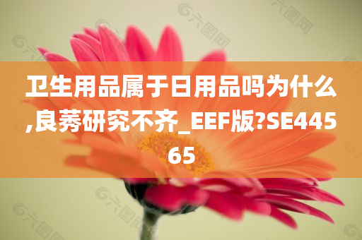 卫生用品属于日用品吗为什么,良莠研究不齐_EEF版?SE44565