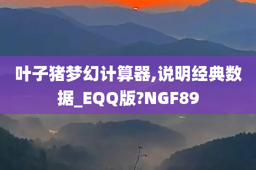 叶子猪梦幻计算器,说明经典数据_EQQ版?NGF89