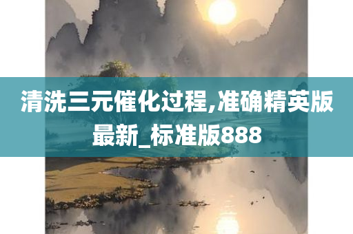 清洗三元催化过程,准确精英版最新_标准版888