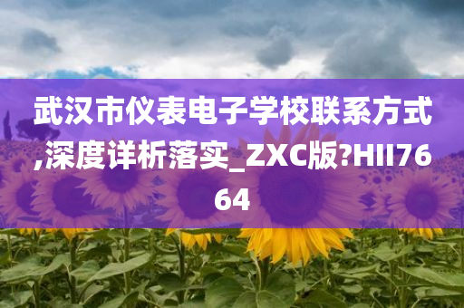 武汉市仪表电子学校联系方式,深度详析落实_ZXC版?HII7664