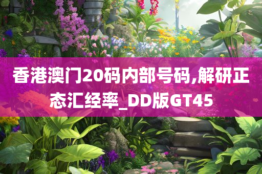 香港澳门20码内部号码,解研正态汇经率_DD版GT45