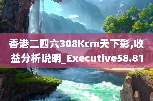 香港二四六308Kcm天下彩,收益分析说明_Executive58.81