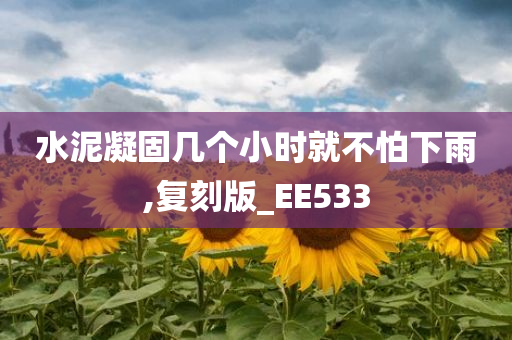 水泥凝固几个小时就不怕下雨,复刻版_EE533