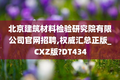 北京建筑材料检验研究院有限公司官网招聘,权威汇总正版_CXZ版?DT434