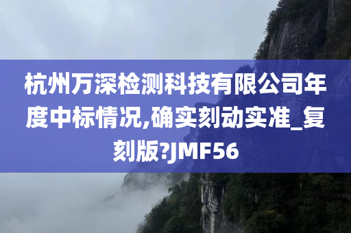 杭州万深检测科技有限公司年度中标情况,确实刻动实准_复刻版?JMF56