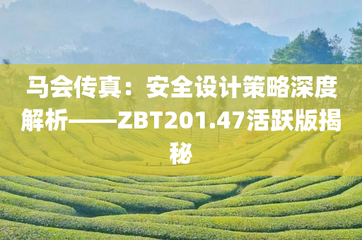 马会传真：安全设计策略深度解析——ZBT201.47活跃版揭秘