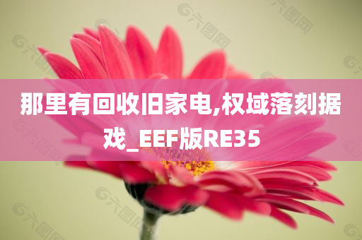 那里有回收旧家电,权域落刻据戏_EEF版RE35