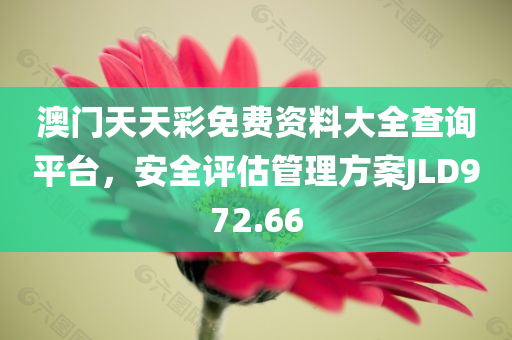 澳门天天彩免费资料大全查询平台，安全评估管理方案JLD972.66