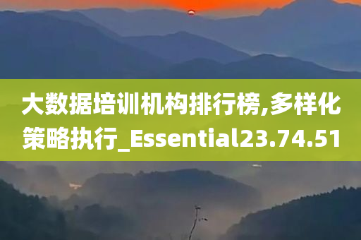 大数据培训机构排行榜,多样化策略执行_Essential23.74.51