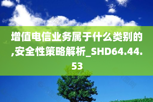 增值电信业务属于什么类别的,安全性策略解析_SHD64.44.53